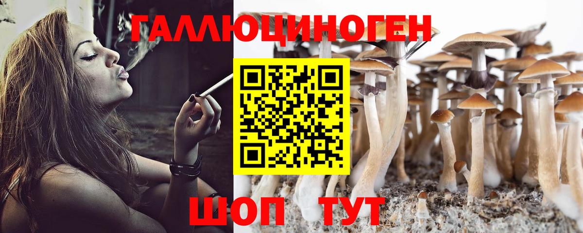 Псилоцибиновые грибы GOLDEN TEACHER Холмск