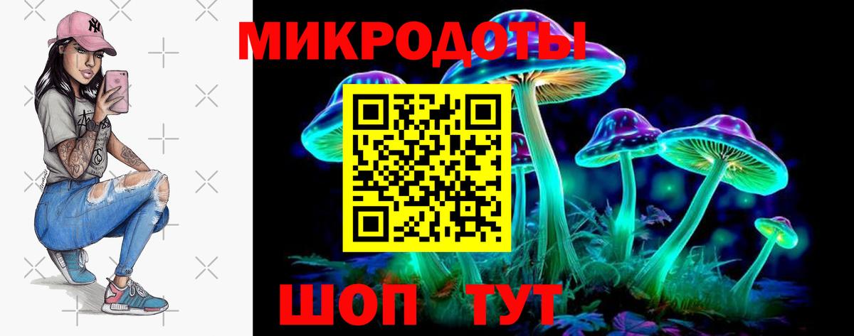 Холмск  Галлюциногенные грибы мухоморы  Галлюциногенные грибы Psilocybine cubensis  Вход с VPN 